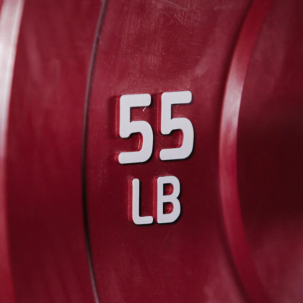 55 LB Single Economy Color Bumper Plate - Image 4