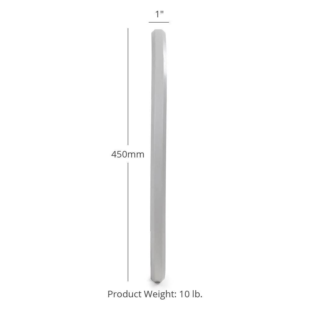 Scratch and Dent, 10 LB Pair Economy Color Bumper Plates - Image 3