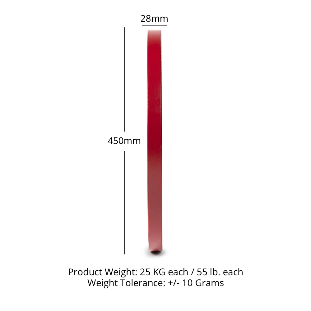 25 KG Single Calibrated Steel Plate - Image 6