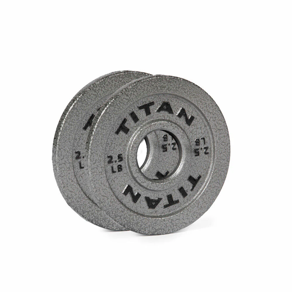 Scratch and Dent - 2.5 LB Pair Silver Series Cast Iron Olympic Plates - FINAL SALE