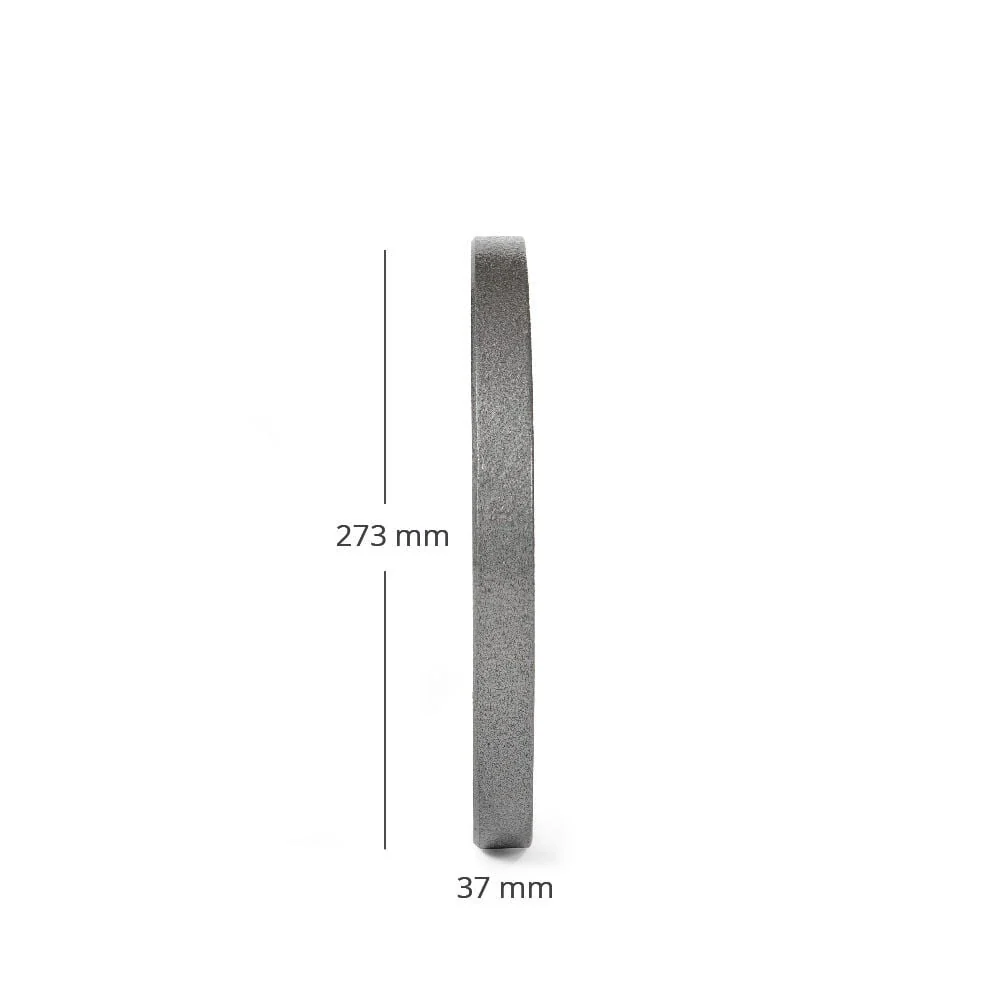 Scratch and Dent - 25 LB Pair Silver Series Cast Iron Olympic Plates - FINAL SALE - Image 3