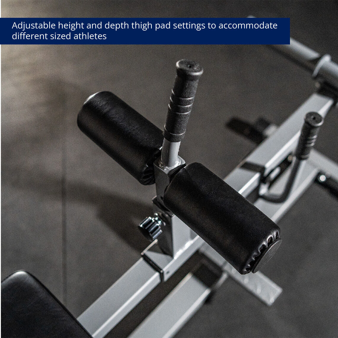 Scratch and Dent - Seated Calf Raise Machine | v2 - FINAL SALE - Image 4