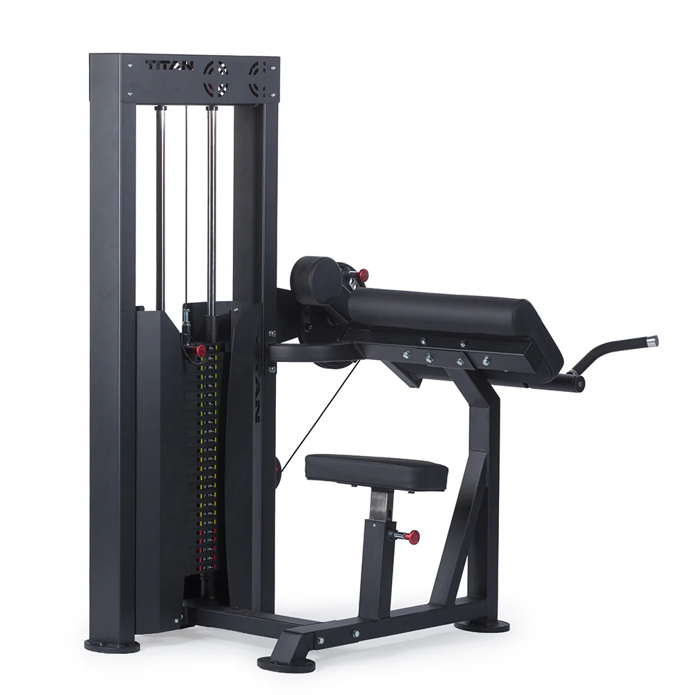 Selectorized Bicep and Tricep Machine