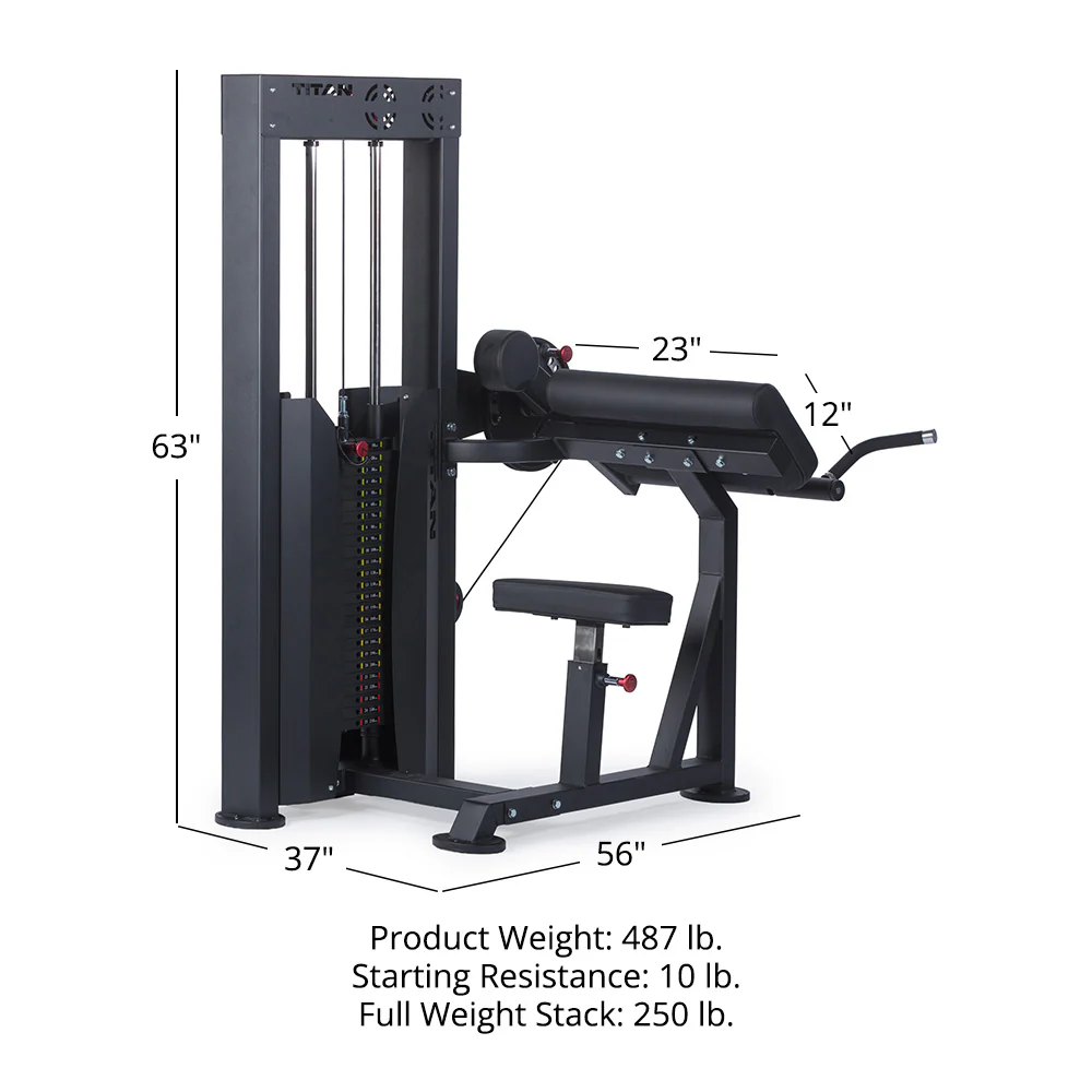Selectorized Bicep and Tricep Machine - Image 12